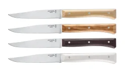 Opinel Coffret de 4 couteaux de table Facette Panaché Hot