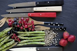 Opinel Couteau N°125 Charme Hot