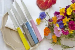 Opinel Couteau N°125 Tilleul Best